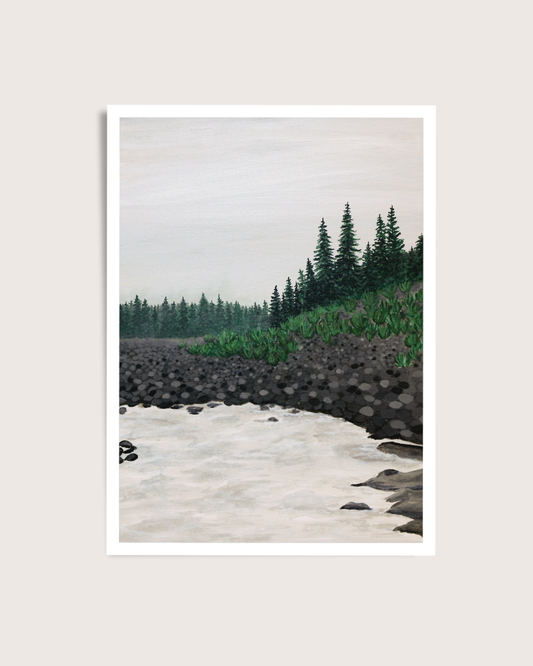 Nisqually River Landscape art print