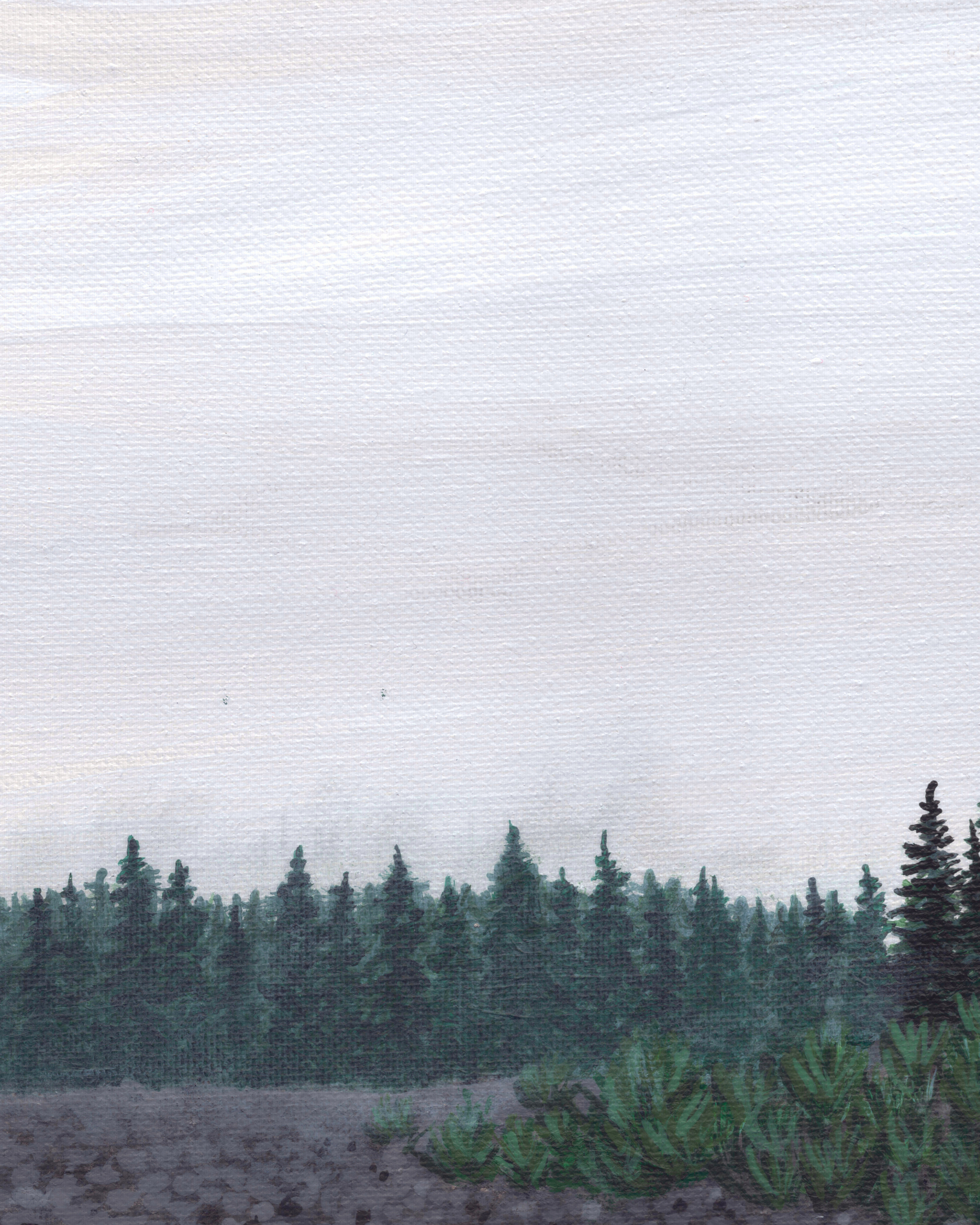 Nisqually River Art print for Sale