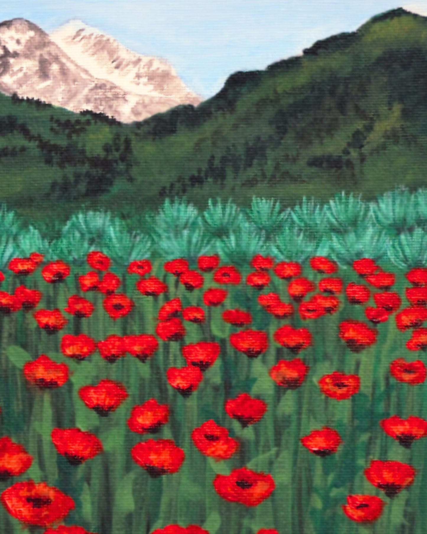 Affordable Alpine Poppy Fields Wall Art