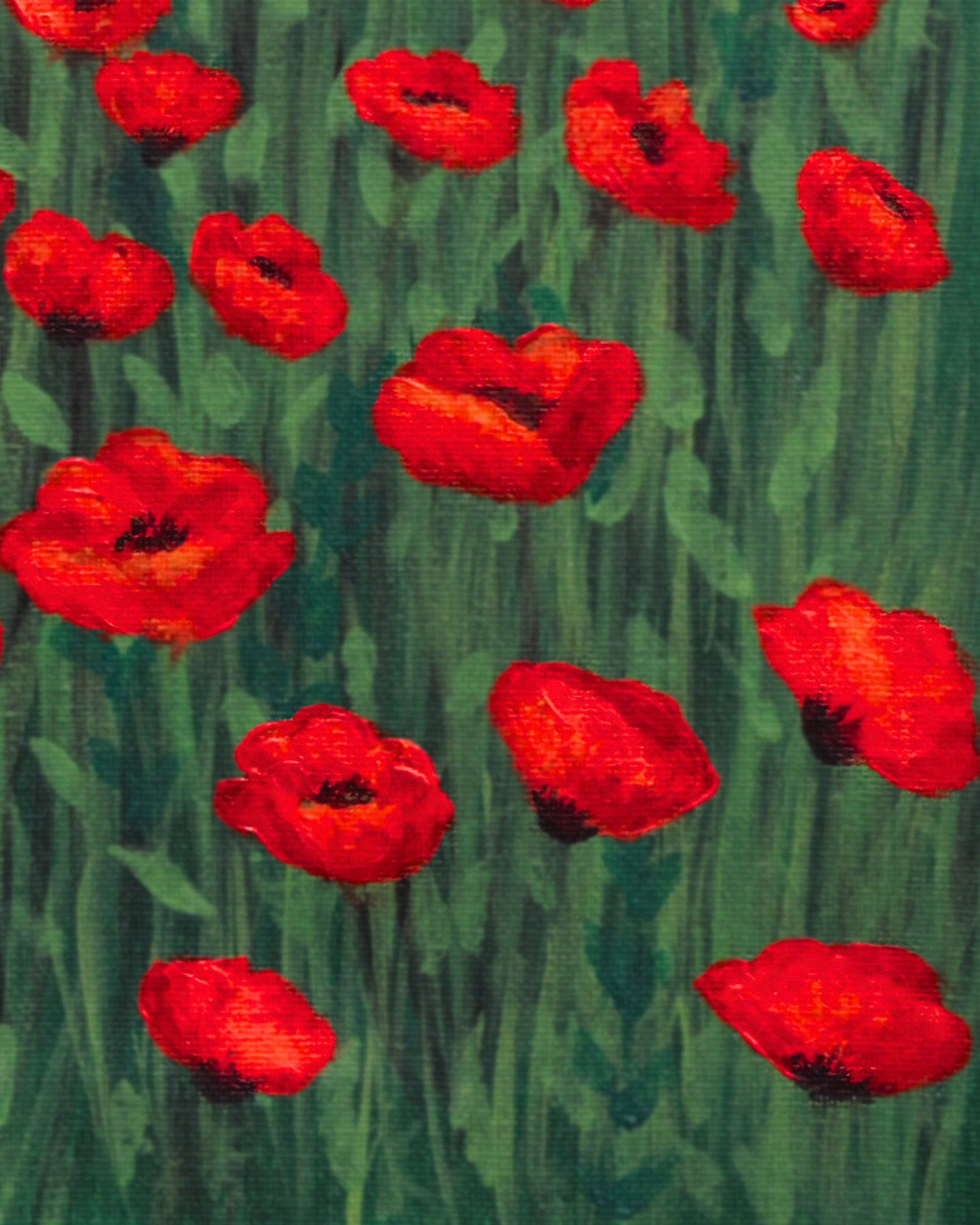 Vibrant Poppy Fields in Alpine Setting Print