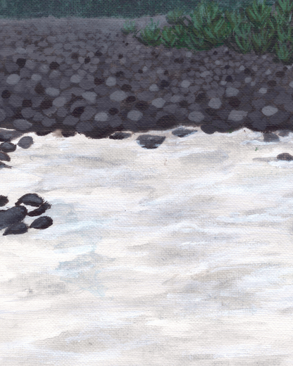 Scenic Nisqually River Wall Decor print