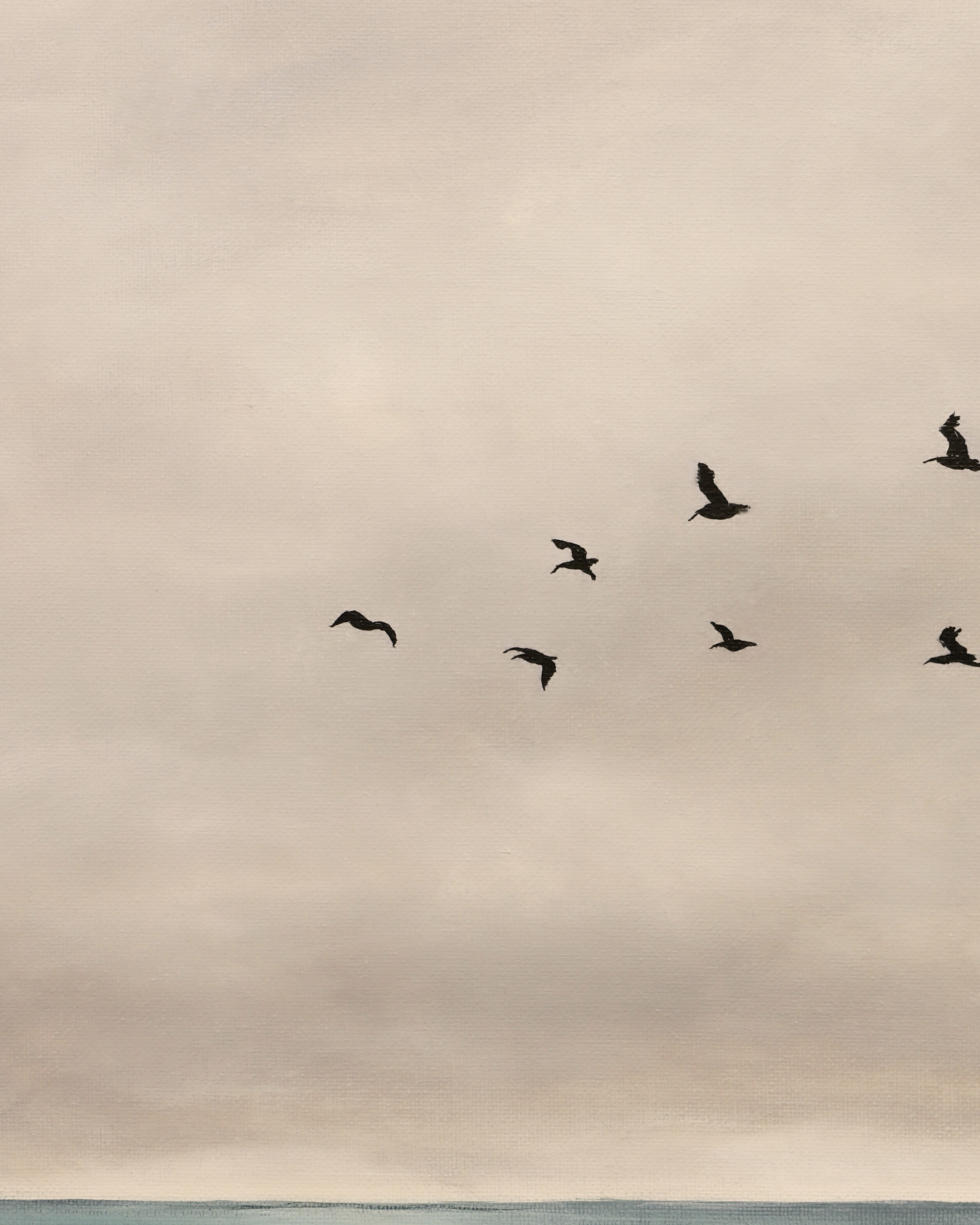 Silhouettes of birds flying against a cloudy sky with a body of water at the bottom.