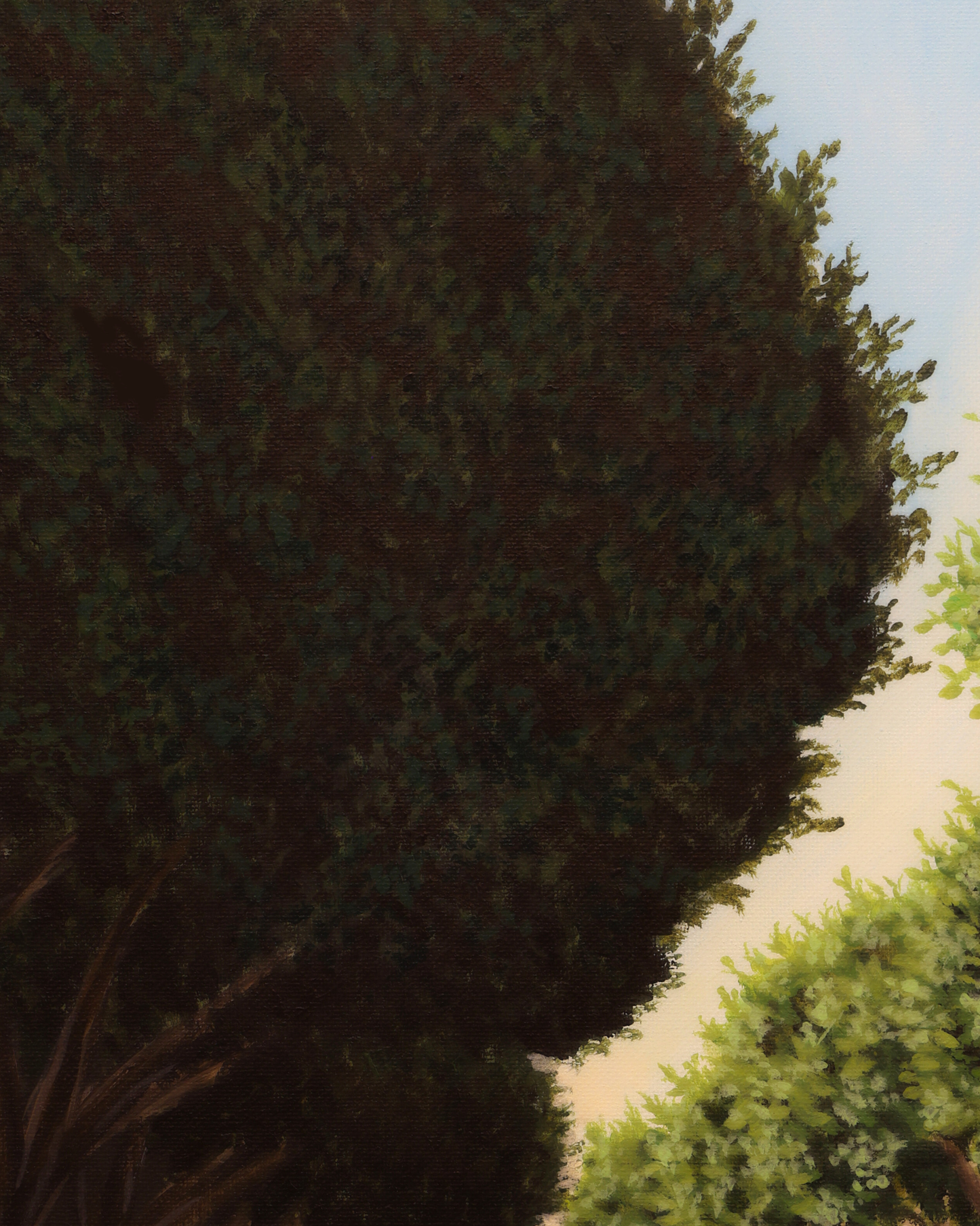 Tall coniferous tree with a blurred background painting for sale