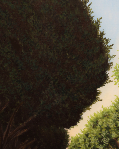 Tall coniferous tree with a blurred background painting for sale